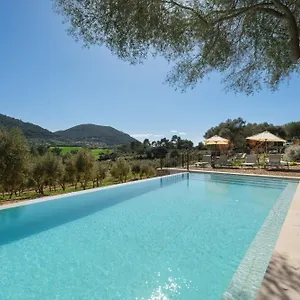 5* Hotel Treurer - Olive Grove & Grand House - Adults Only
